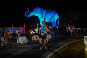 BIB: 
                            <button type="button" onclick="openModal(26552248)" class="btn btn-primary btn-sm float-right btn-popup" data-toggle="modal" data-target=".modal-high-quality">
                        <i class="fas fa-shopping-cart"></i> Add to Cart
                    </button>
                                            <button type="button" onclick="isThisMe(26552248, true)" class="btn btn-success btn-sm float-right btn-popup btn-isme hidden" data-toggle="tooltip" data-placement="bottom" title="นี่คือรูปของคุณใช่ไหม คลิกที่นี่เพื่อเอาเข้าอัลบั้ม">
                        <i class="fas fa-plus"></i> Add to album
                    </button>
                    <button type="button" onclick="isThisMe(26552248, false)" class="btn btn-warning btn-sm float-right btn-popup btn-isnotme hidden">
                        <i class="fas fa-ban"></i> Remove from album
                    </button>